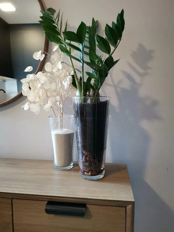 Apartment San Miguel Suite Torremolinos